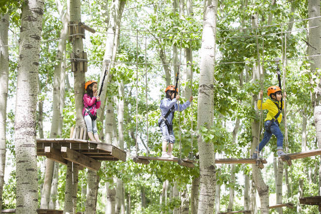 Crianças chinesas subindo em árvores no parque de aventura — Fotografia de Stock