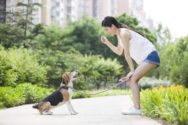 Chinese woman playing with cute beagle — Stock Photo