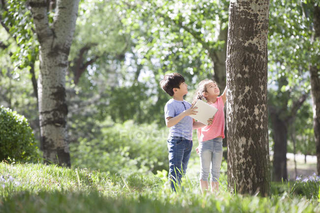Chinese children exploring tree trunk in woods — Stock Photo