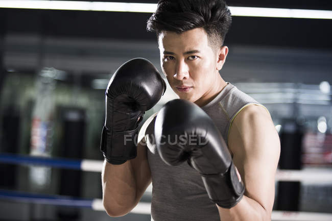 Retrato de boxeador asiático - foto de stock