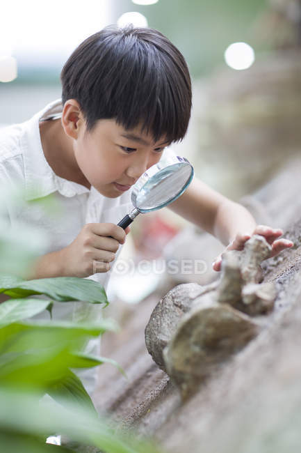 Chico chino mirando a través de la lupa en la exposición del museo - foto de stock
