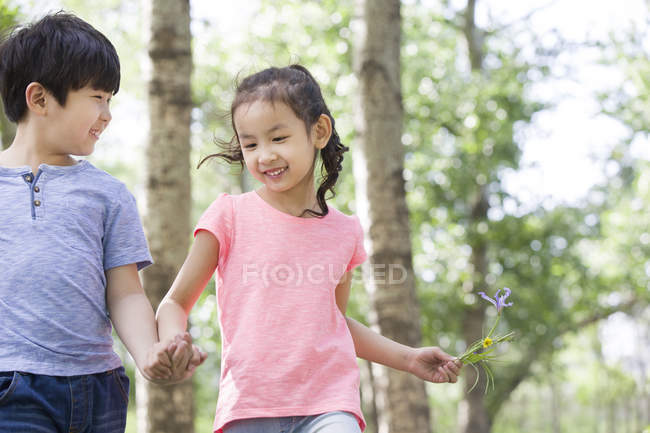 Chino y chica tomados de la mano caminando en el bosque - foto de stock
