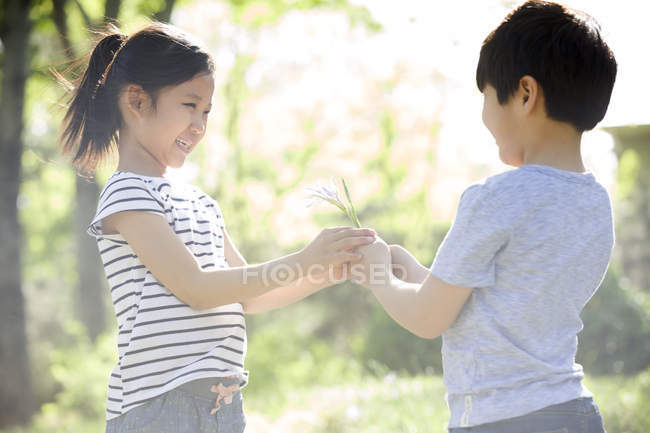Chinese boy giving girl wildflowers in woods — Stock Photo