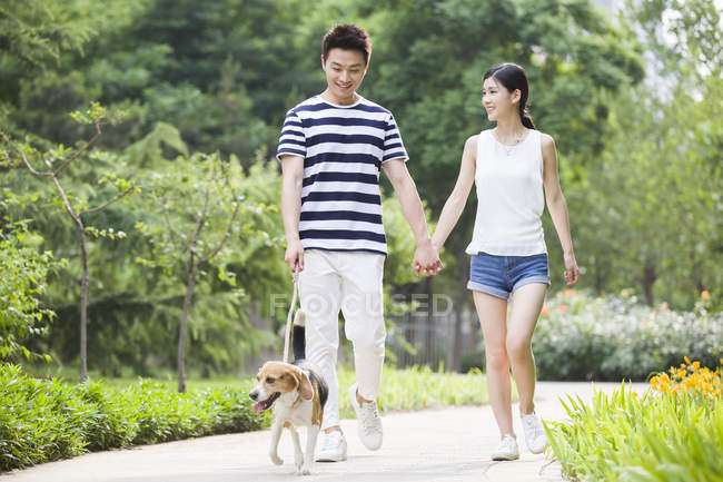 Chinese couple walking with cute beagle in park — Stock Photo