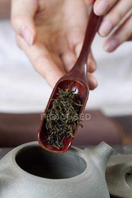 Nahaufnahme weiblicher Hände, die Teeblätter in Teekanne stecken — Stockfoto