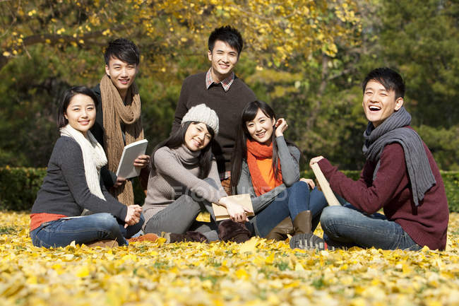 Adultos jóvenes chinos sentados en el césped en el parque otoñal - foto de stock