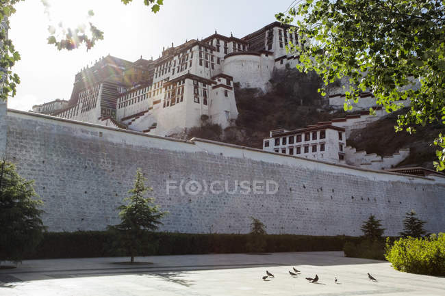 Vista de baixo ângulo do edifício do Palácio de Potala no Tibete, China — Fotografia de Stock