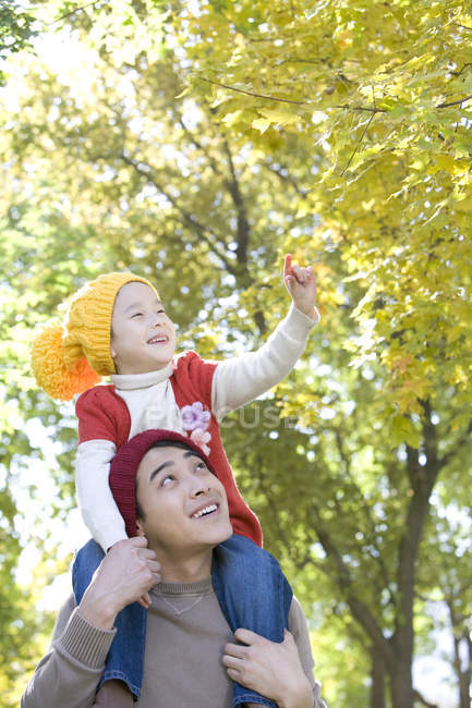 Padre chino llevando a su hija en hombros en un parque en otoño - foto de stock