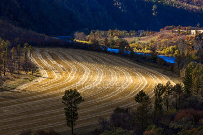 Живописный вид на природу полей в Аэрошане, Китай — стоковое фото