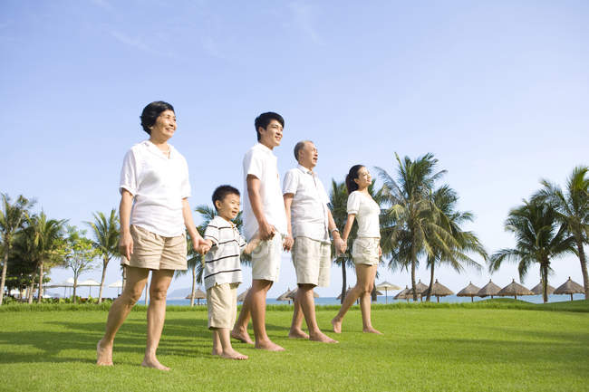 Familia china multi-generación caminando sobre césped tropical y tomados de la mano - foto de stock