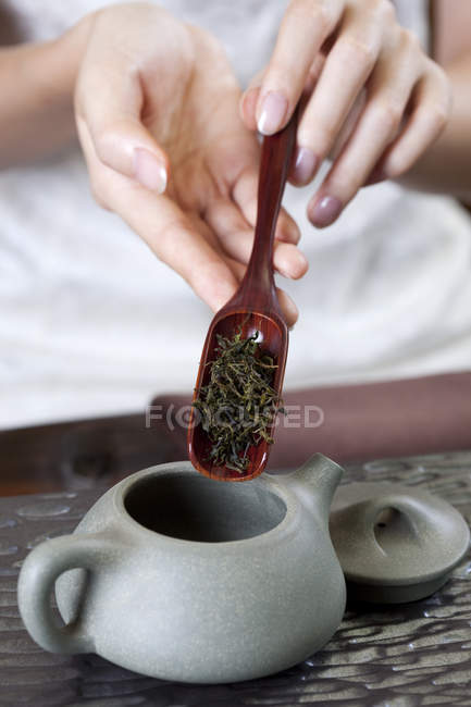 Gros plan de la femme mettant du thé dans la théière — Photo de stock