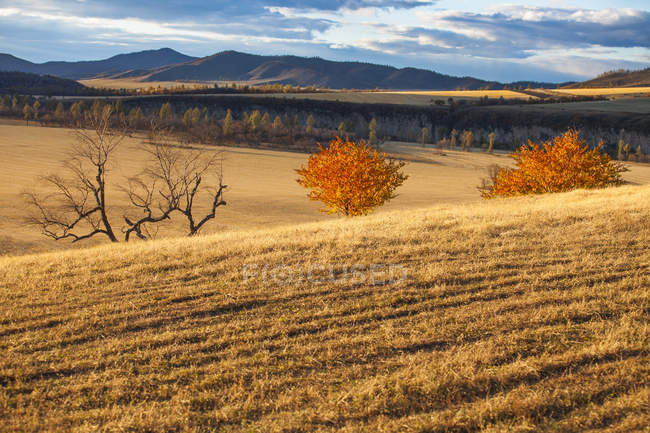 Scenic view of nature of fields in Aershan, China — Stock Photo