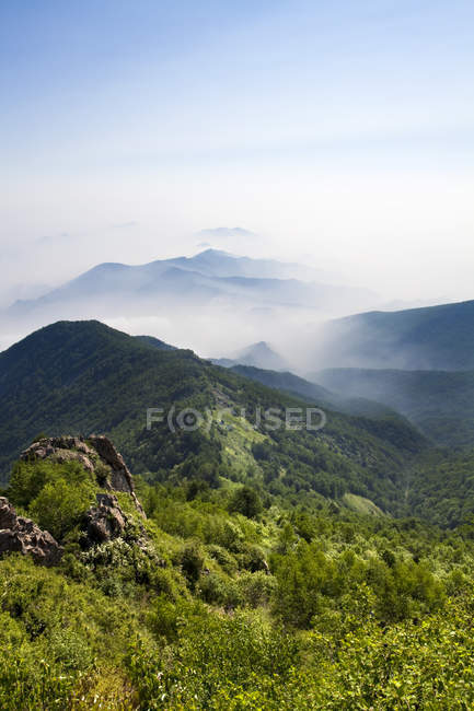 Зеленый пейзаж с горами в Китае — стоковое фото