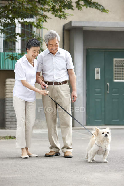 Senior Chinese couple walking with dog on street — Stock Photo