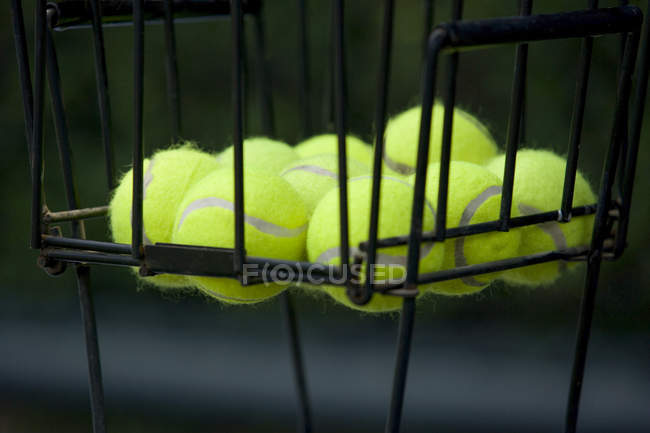 Тенісні м'ячі в металевому кошику, крупним планом — стокове фото