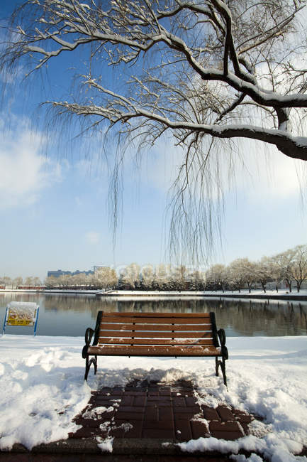 Banco de madeira sob salgueiro no parque tranquilo no inverno — Fotografia de Stock