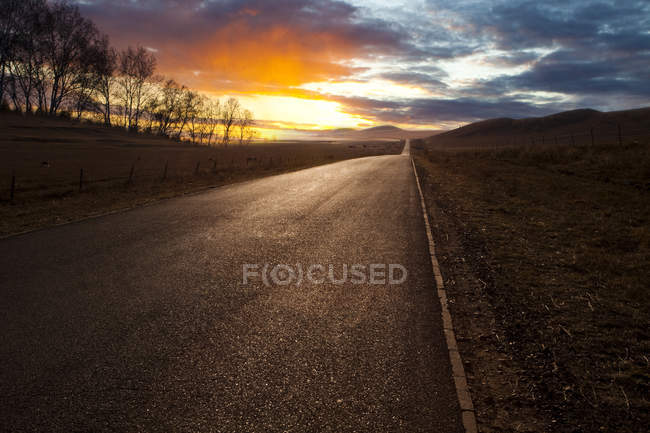 Country road with scenic sunset view in Bashang Plateau, China — Stock Photo