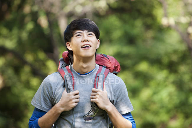 Chinese male hiker looking up in woods — Stock Photo