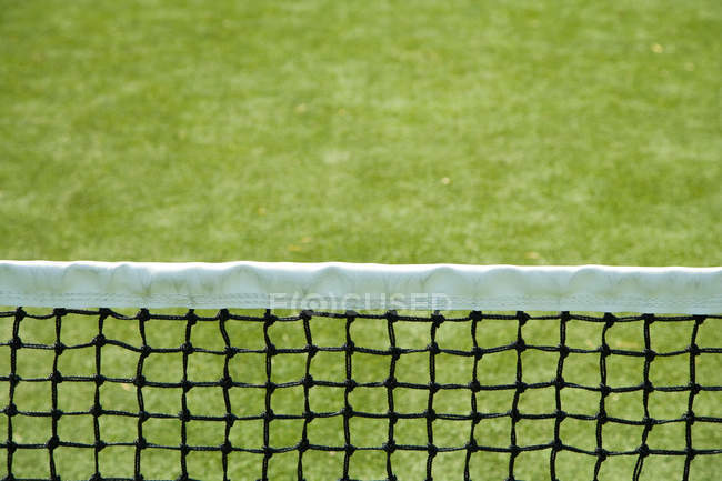 Tennis net on green grass background — Stock Photo