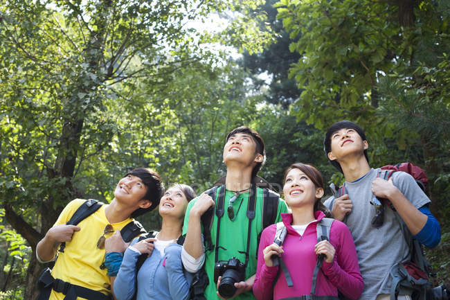 Group of Chinese hikers looking up in woods — Stock Photo