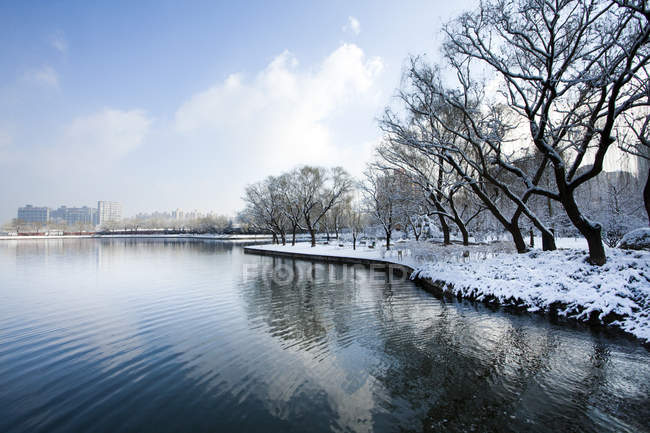 Schneebedeckte Bäume am schönen Seeufer in Peking, China — Stockfoto