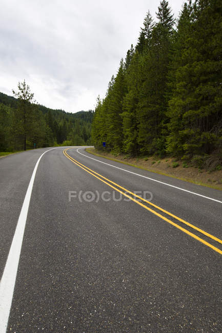 Vue de la route à travers la forêt de pins — Photo de stock