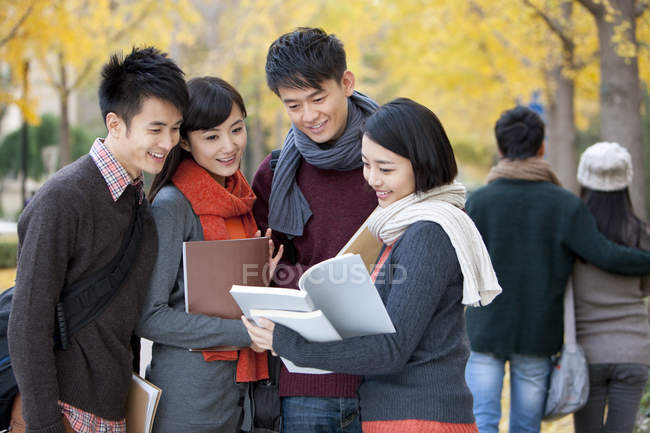 Estudiantes universitarios chinos con libros hablando en el parque del campus en otoño - foto de stock