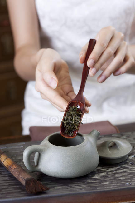 Крупный план женских рук, помещающих чайные листья в чайник — стоковое фото