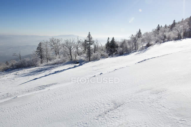 Pista de esquí en la estación de invierno en la provincia de Heilongjiang, China - foto de stock