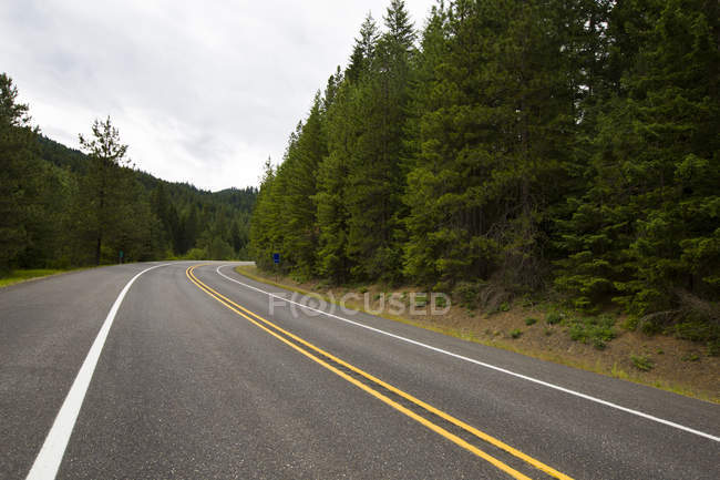 Vue de la route à travers la forêt de pins — Photo de stock