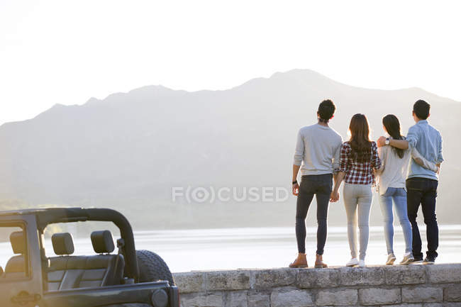 Вид сзади на друзей, стоящих на берегу озера в пригороде — стоковое фото