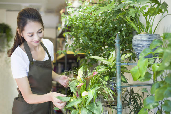 Femmina asiatico fiorista working in flower shop — Foto stock