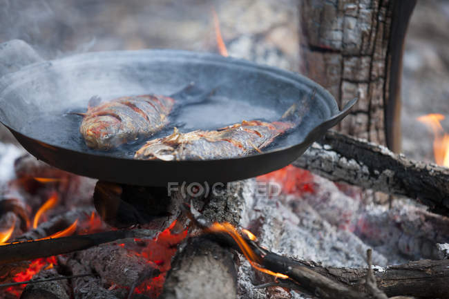 Poisson grillé dans la casserole sur le feu de camp — Photo de stock