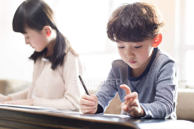 Chinese siblings studying together at home — Stock Photo