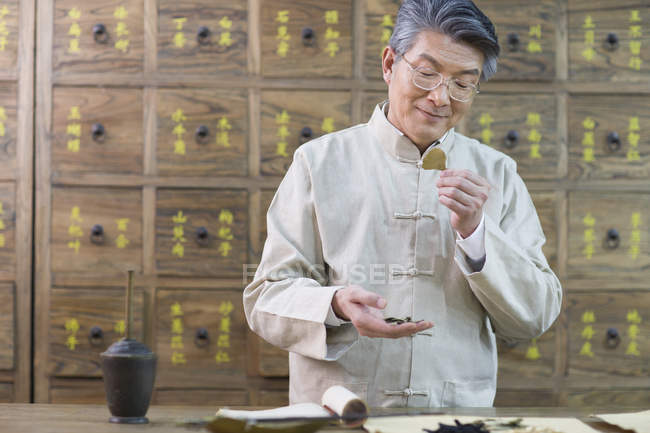 Senior Chinese doctor checking medicinal herbs in pharmacy — Stock Photo