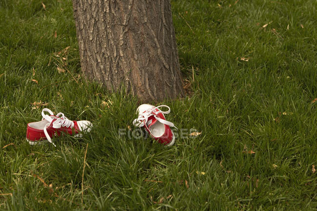 Sapatos de criança deitados na grama ao lado da árvore — Fotografia de Stock