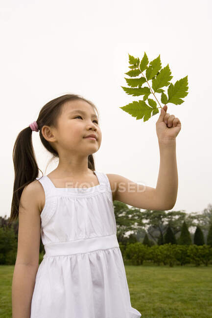 Молода китайська дівчина тримає в парку листя — стокове фото