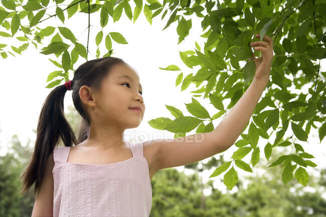 Junges chinesisches Mädchen hält ein Blatt im Park — Stockfoto