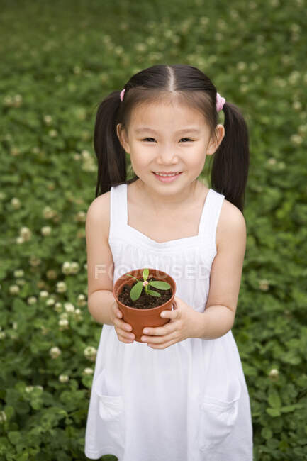 Joven chica china sosteniendo una planta en maceta en el parque - foto de stock