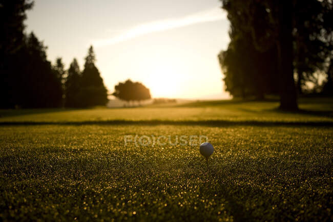 Acérquese y golpee, conceptos de golf - foto de stock