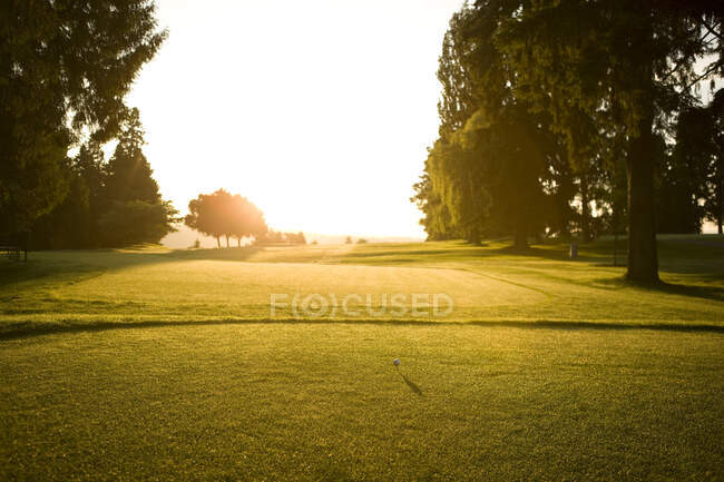 Підніміться і вдарте, концепції гольфу — стокове фото