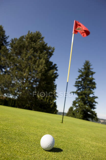 Balle de golf sur le vert — Photo de stock