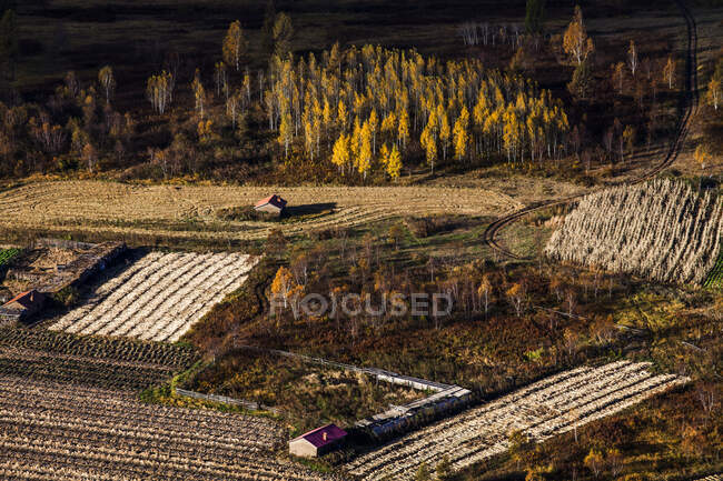 Campo in autunno, Cina — Foto stock