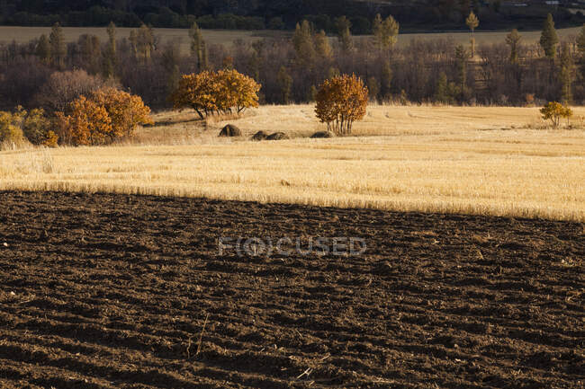 Escena rural en la provincia de Mongolia Interior, China - foto de stock