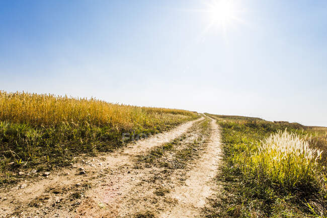 Grassland scenery in Hebei province, China — Stock Photo