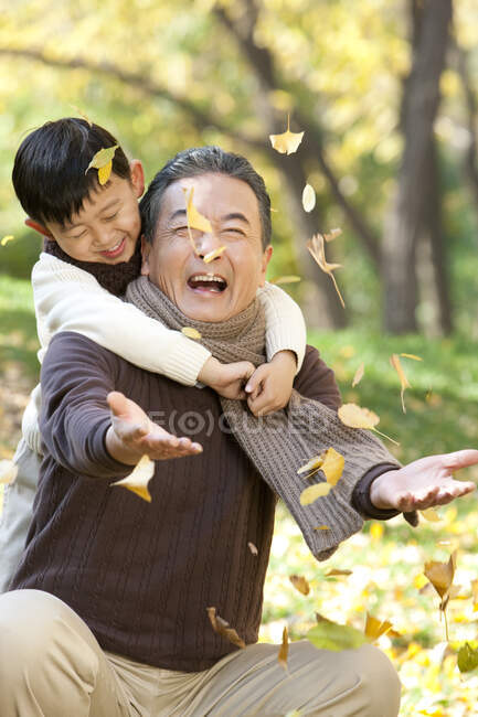 Chico chino con abuelo viendo caer las hojas - foto de stock