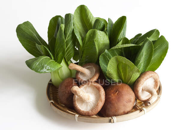 Cogumelos e bok choy folhas de salada em pequena cesta — Fotografia de Stock