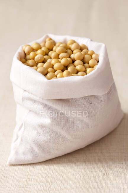 Sacco pieno di fagioli di soia, colpo da vicino — Foto stock