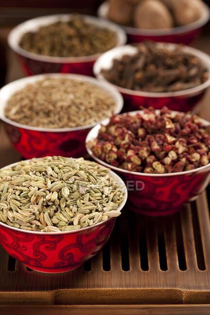 Various spices in red bowls, close up shot — Stock Photo