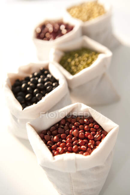 Sacks of various beans on white background — Stock Photo